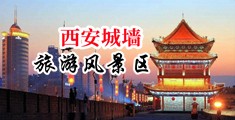 大胸美女被操的嗷嗷叫中国陕西-西安城墙旅游风景区